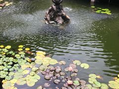 -上海醉白池公园