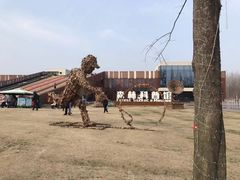 -黄海国家森林公园