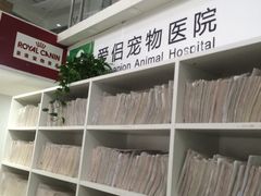 -爱侣宠医·鹦鹉专科·小型哺乳类·异宠专科(灵石路店)