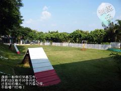 店内环境-良成狗狗乐园