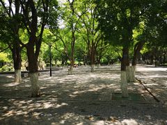 -山东大学(趵突泉校区)