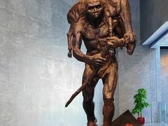 -北京周口店北京人遗址博物馆