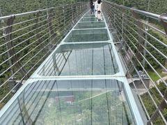 -中国大竹海景区