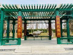 -西海子公园