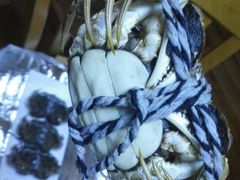 -乡乐园蟹庄·阳澄湖农家乐