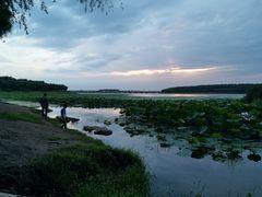 -丁香湖公园