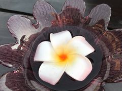 -Rimpa Lapin悬崖餐厅