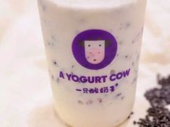 -一只酸奶牛(奎星楼店)