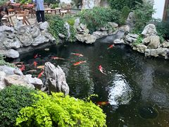 -鲤院·新中式美学·庭院餐厅(夫子庙店)