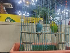 -休记光头香辣蟹干锅店(衣冠庙店)