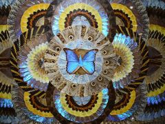 -上海昆虫博物馆