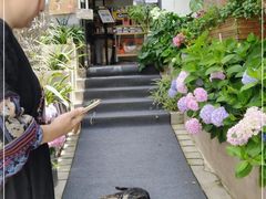 -唐咖精品咖啡(大理古城手冲店)