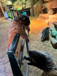 -酷嗒动物文化乐园(cutezoo西溪乐天城店)