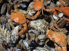 -富临港·蒸汽海鲜·手抓海鲜·炒菜(栈桥店)