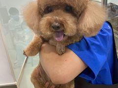 -宠福鑫康馨动物医院·骨科·眼科