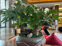 -杭州西溪喜来登度假大酒店