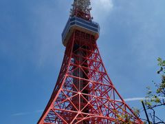 -东京塔海贼王主题公园