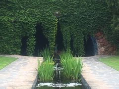 -墨尔本皇家植物园