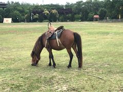 -合肥三国新城遗址公园