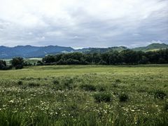 -新疆那拉提国家旅游度假区