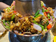 -蛙麻蛙辣炭火蛙锅(南环大街店)