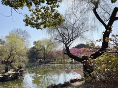 -无锡梅园公园