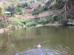 -青青世界