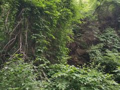 -大岭沟猕猴桃谷风景区