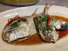 清蒸小鲳鱼-宝燕壹号(徐汇店)