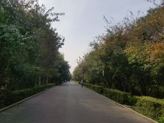 -长春市南湖公园