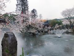 -武汉大学-樱园