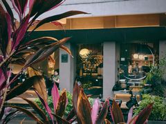 -溯洄咖啡VORTEX COFFEE