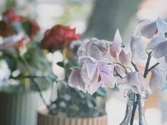 -Bistro Les Lilas丁香花小酒馆
