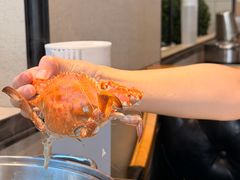-川骄海鲜自助(亚运村店)