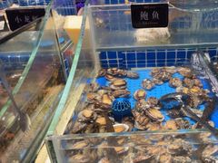 -加餐海鲜自助餐厅(福清万达店)