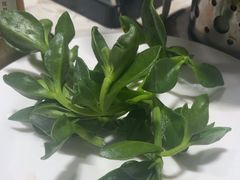 -金马门国际美食百汇(珞喻路店)