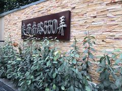 -嘉善老市