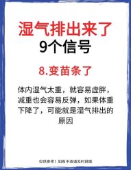 -Fundi张玉珊修身堂·indiba·BTL科技瘦身