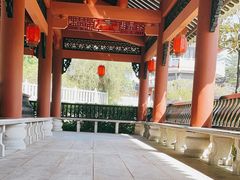 -广东花都湖国家湿地公园