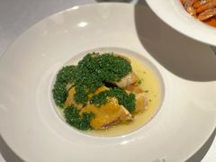 -桂满陇·海市蜃楼·黑金(国金店)