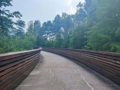 -昆山城市生态森林公园