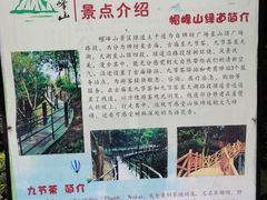 -广州市帽峰山景区