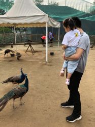 -萌宠亲子动物乐园(槐房万达店)