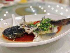 -茗荔园农庄(大涌店)