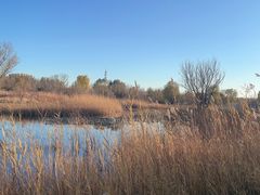 -野鸭湖国家湿地公园