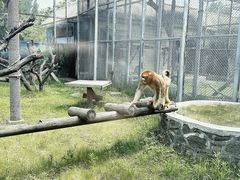 -西安秦岭野生动物园
