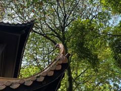 -岳麓山风景名胜区