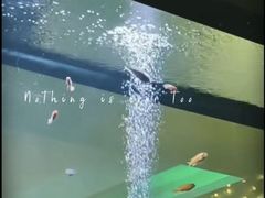 -御池园(顾村公园店)