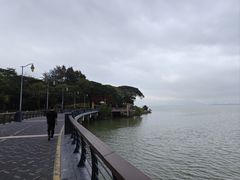-深圳湾公园(南山区)
