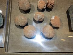 -烟台市博物馆